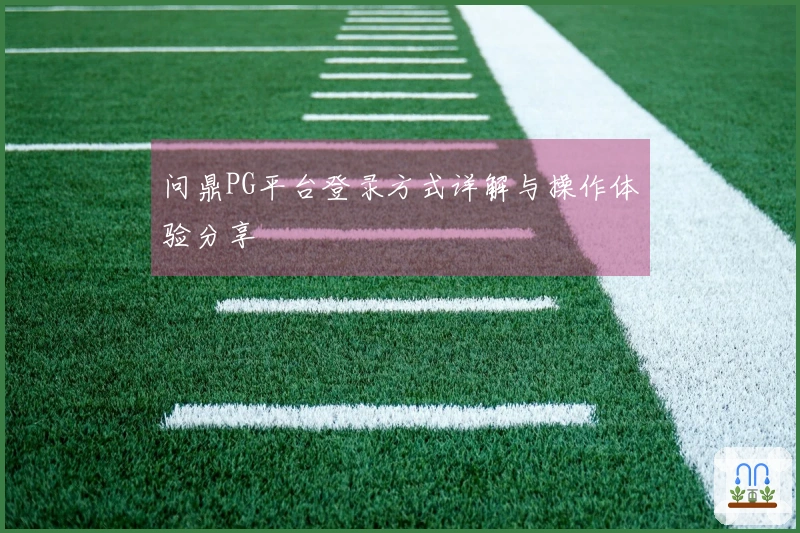问鼎PG平台登录方式详解与操作体验分享