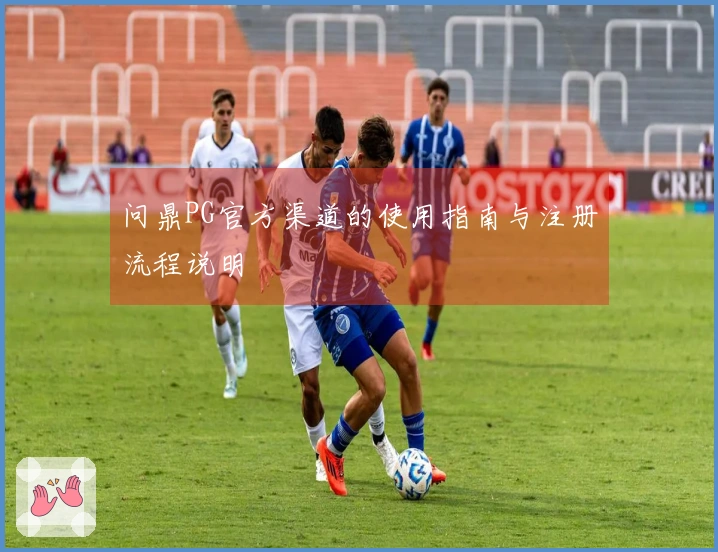 问鼎PG官方渠道的使用指南与注册流程说明