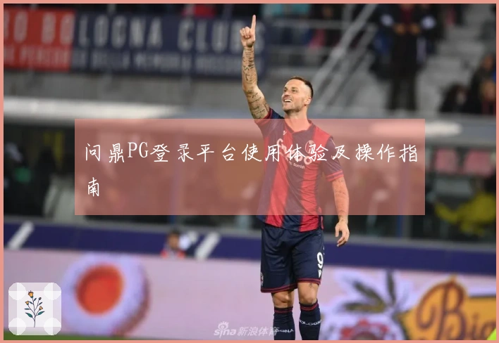 问鼎PG登录平台使用体验及操作指南