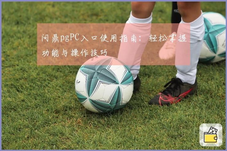 问鼎pgPC入口使用指南：轻松掌握功能与操作技巧