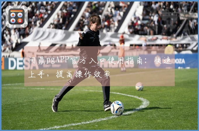 问鼎pgAPP官方入口使用指南：快速上手，提高操作效率